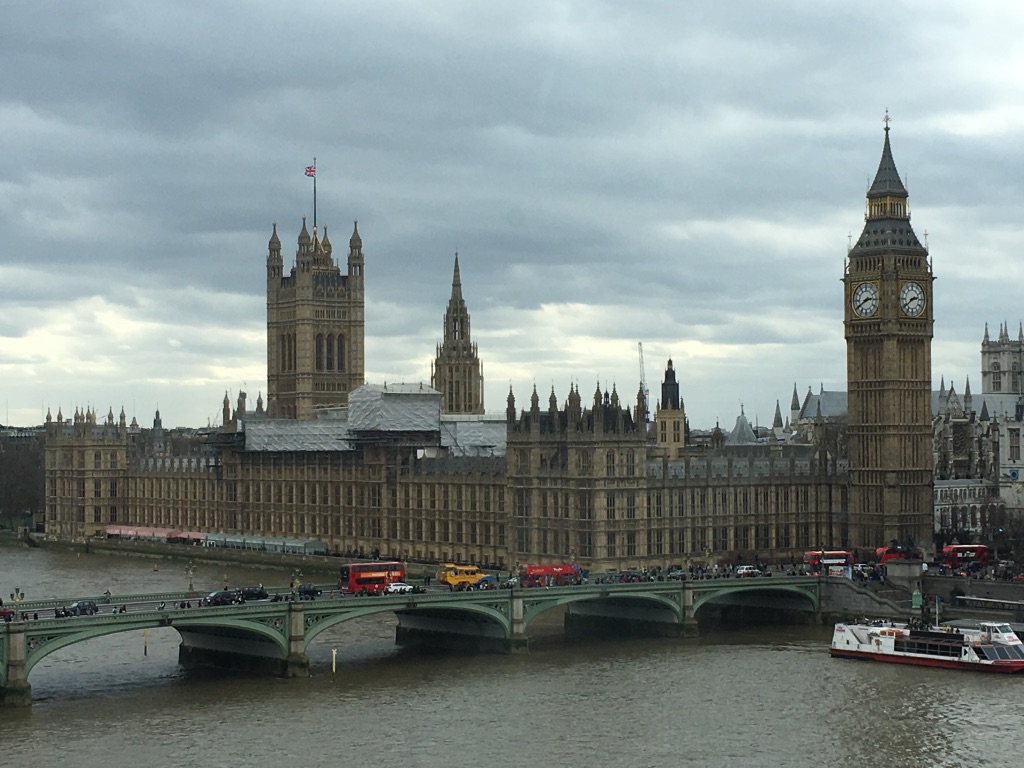 13D03D67-55CF-46B9-8A62-36D6590D26EE_1_105_c