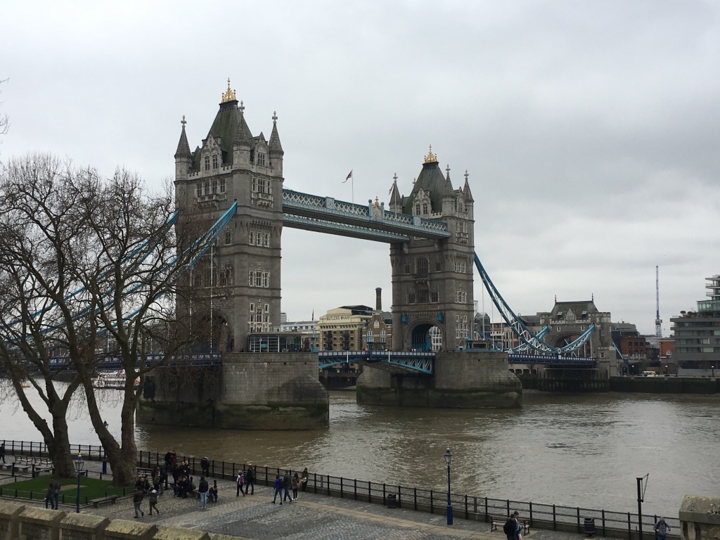 80BA7343-BB5F-4B19-9205-B3251E15254A_1_105_c